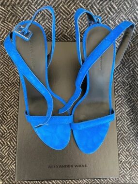 Alexander Wang Blue Suede Slingback Sandals